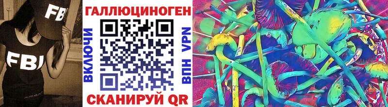 цены наркотик  Холмск  Галлюциногенные грибы GOLDEN TEACHER 